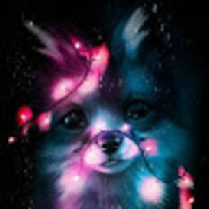 Meet your Posher, Blitzer